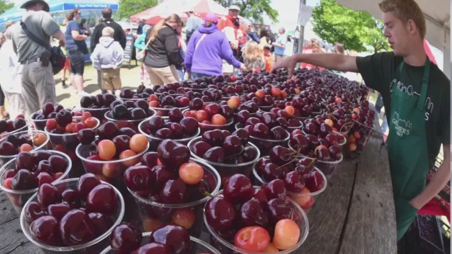 Vendor arranging bowls of cherries at an outdoor market event.